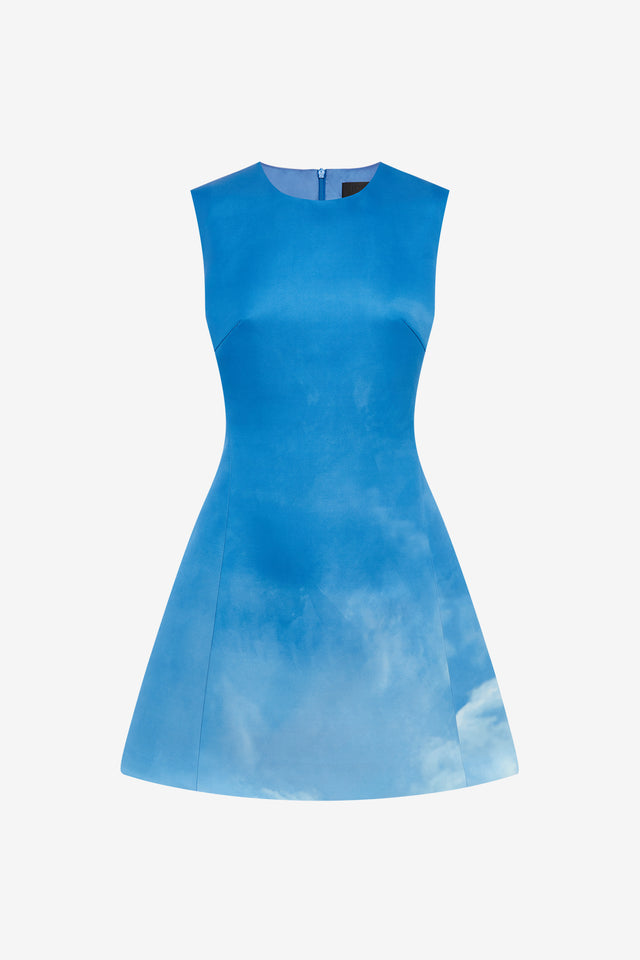 Exclusive LEO LIN Chloe Sleeveless Mini Dress - Aerial Print