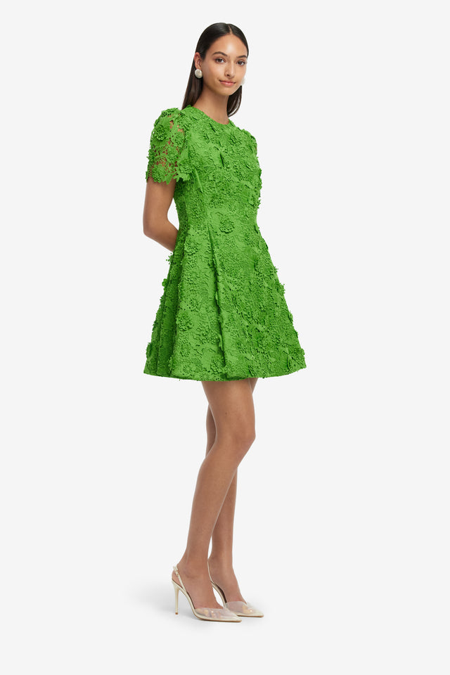 Exclusive LEO LIN Elyse Lace Short Sleeve Mini Dress - Fern