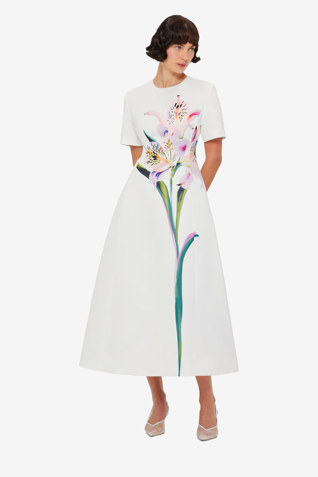 Caroline Short Sleeve Midi Dress - Lily Print in Snow