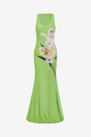 Exclusive LEO LIN Helena Maxi Dress - Lily Print in Parakeet