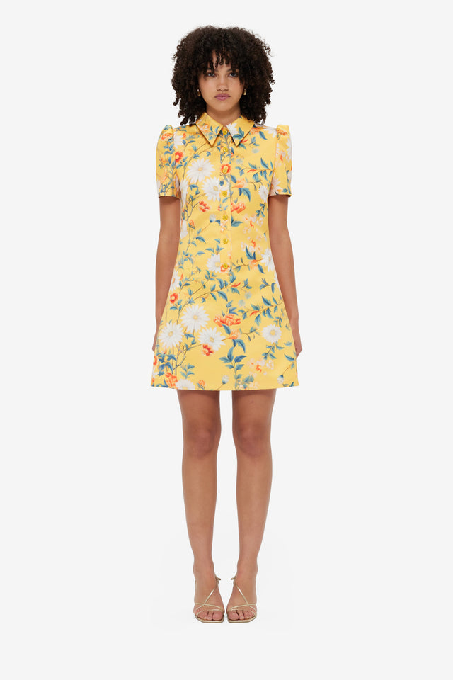 Exclusive Leo Lin Brooke Mini Dress - Daisy Print