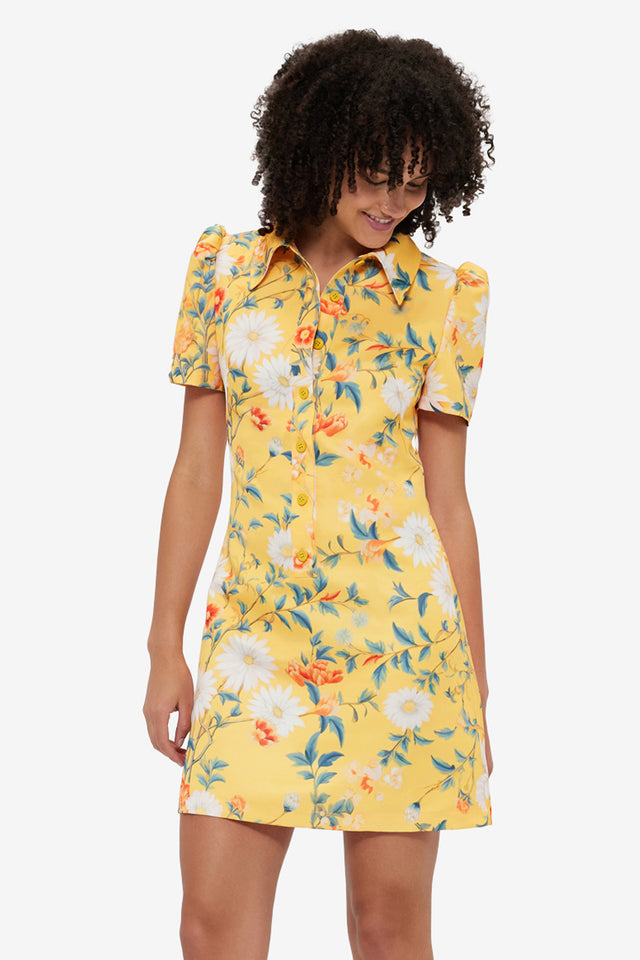 Exclusive Leo Lin Brooke Mini Dress - Daisy Print