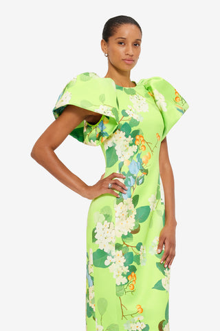 Exclusive Leo Lin Lucinda Maxi Dress in Hydrangea Print in Lime