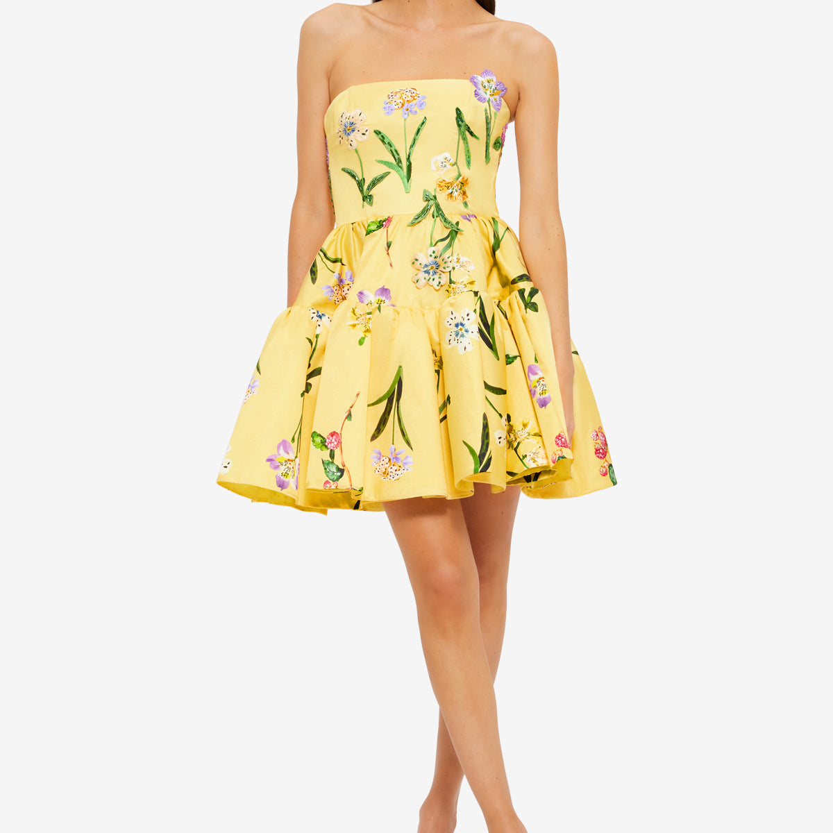 Skye Bustier Mini Dress