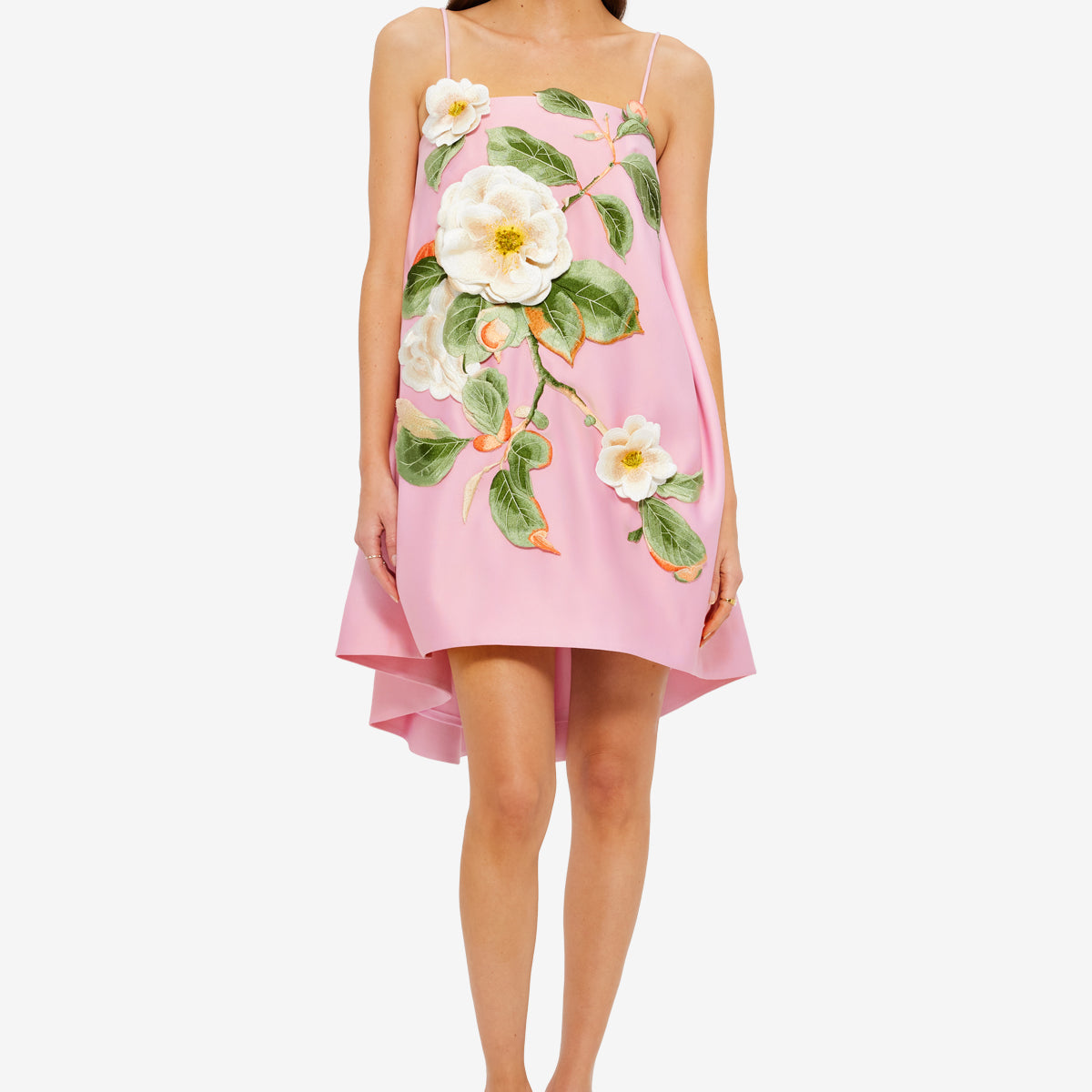 Felicia Appliqué Floral Mini Dress
