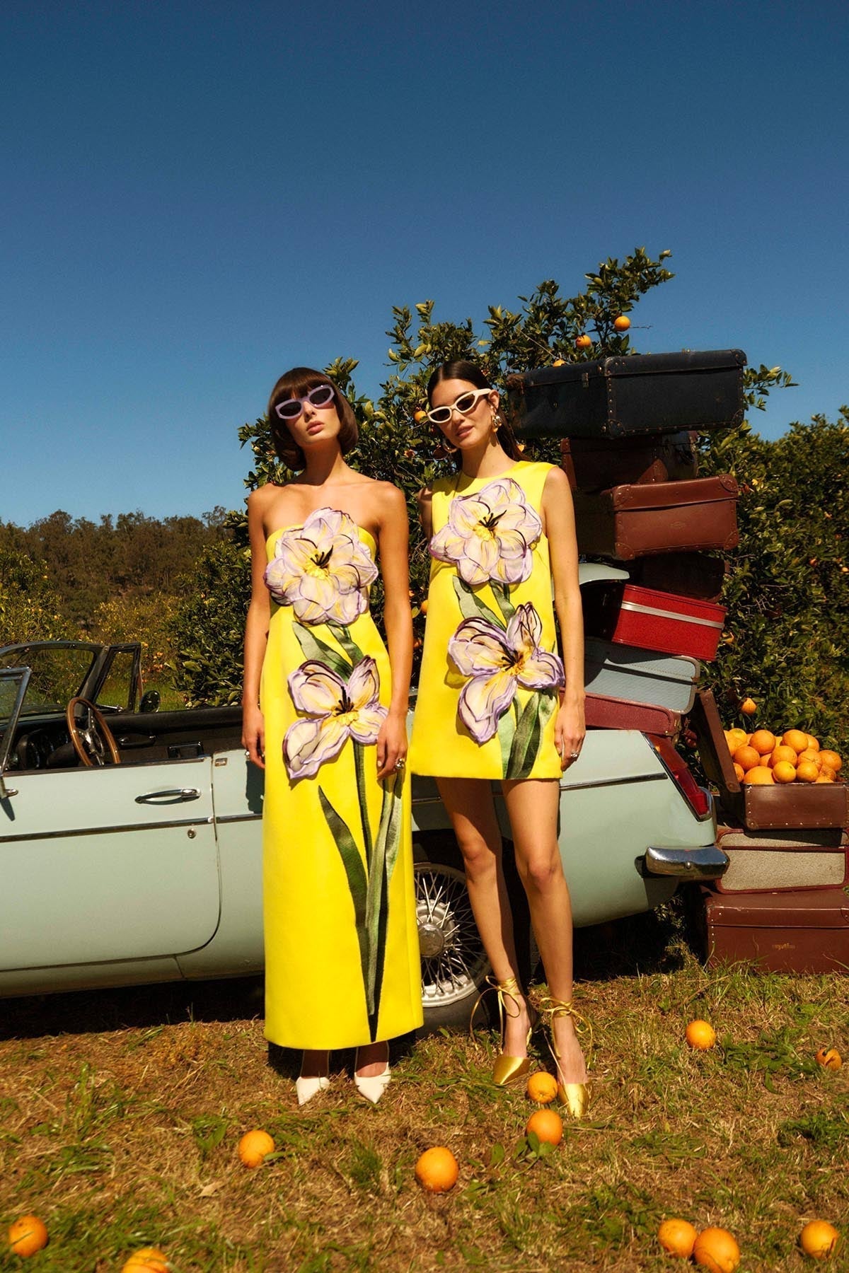 Spring Summer 25 - Journee