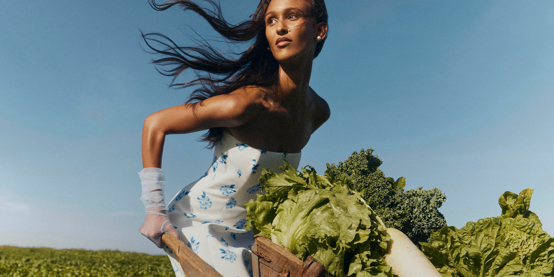 Pre Fall 26 - The Harvest