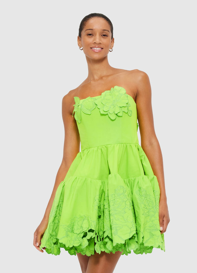 Exclusive Leo Lin Skye Appliqué Bustier Mini Dress in Lime