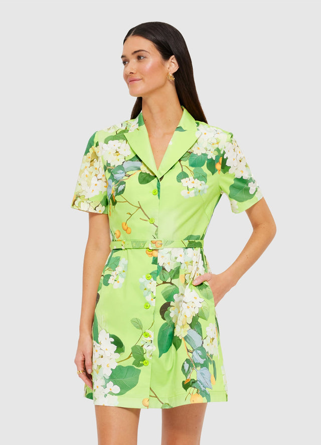 Exclusive Leo Lin Brigitte Mini Dress in Hydrangea in Lime