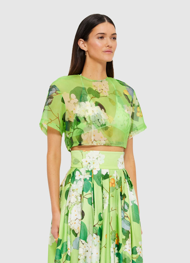 Exclusive Leo Lin Indie Sleeve Top in Hydrangea in Lime