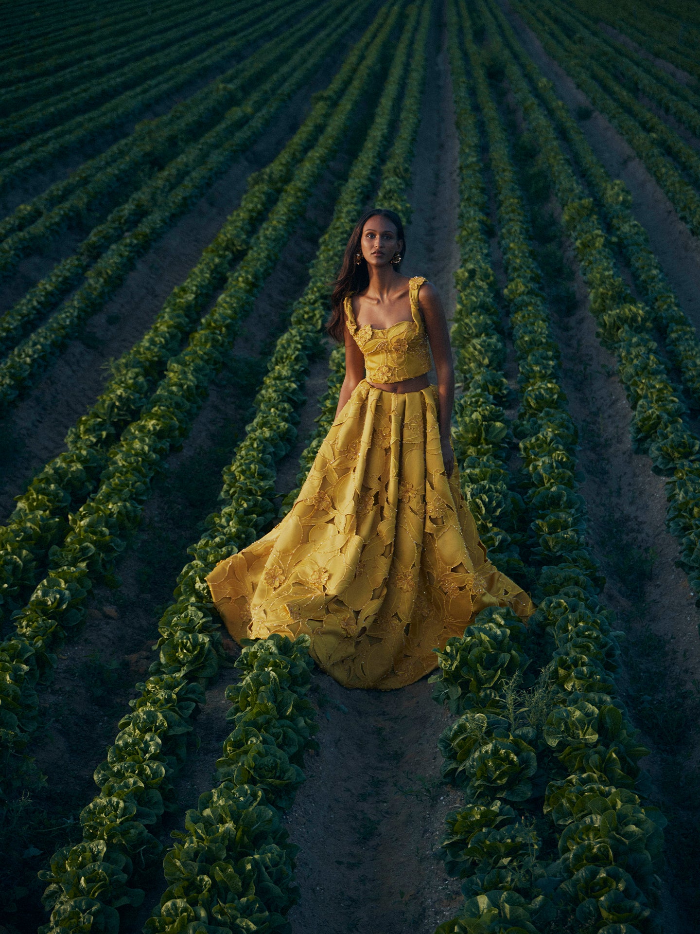 Amya Floral Appliqué Gown - Sunshine – LEO LIN