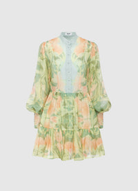 Alexandra Mini Dress - Orient Print in Evergreen