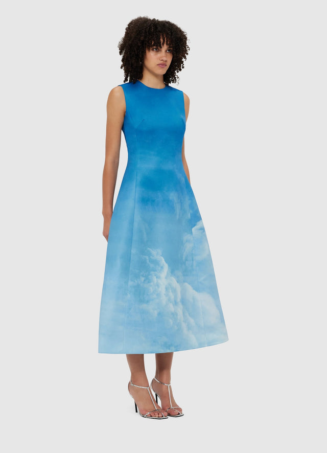 Exclusive Leo Lin Cleo Sleeveless Midi Dress - Aerial Print