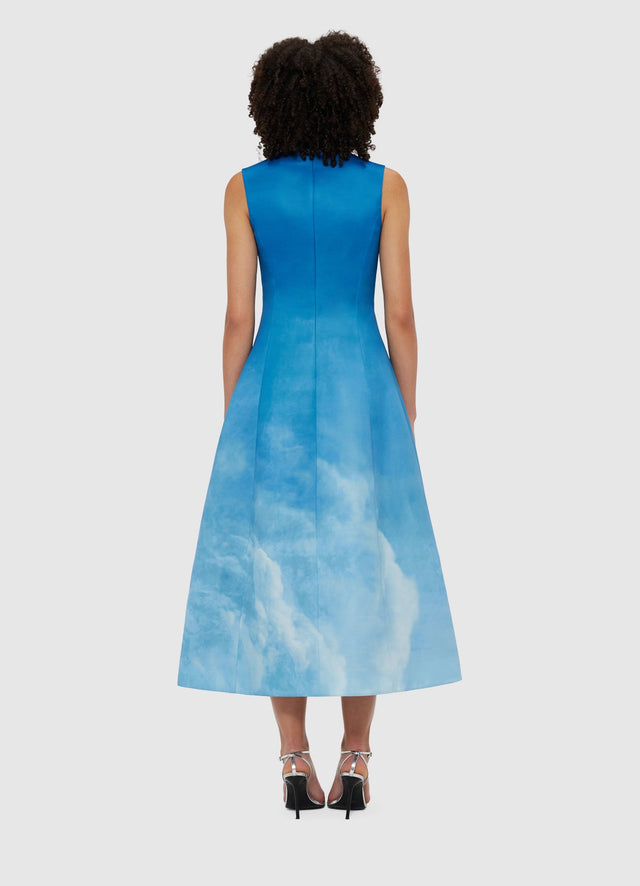 Exclusive Leo Lin Cleo Sleeveless Midi Dress - Aerial Print