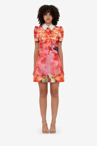 Exclusive LEO LIN Brooke Mini Dress - Kaleidoscope Print