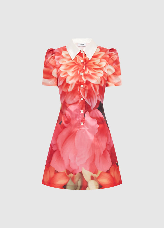 Exclusive Leo Lin Brooke Mini Dress - Kaleidoscope Print