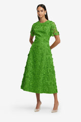 Caroline Lace Short Sleeve Midi Dress - Fern Dress Midi