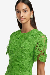 Caroline Lace Short Sleeve Midi Dress - Fern Dress Midi