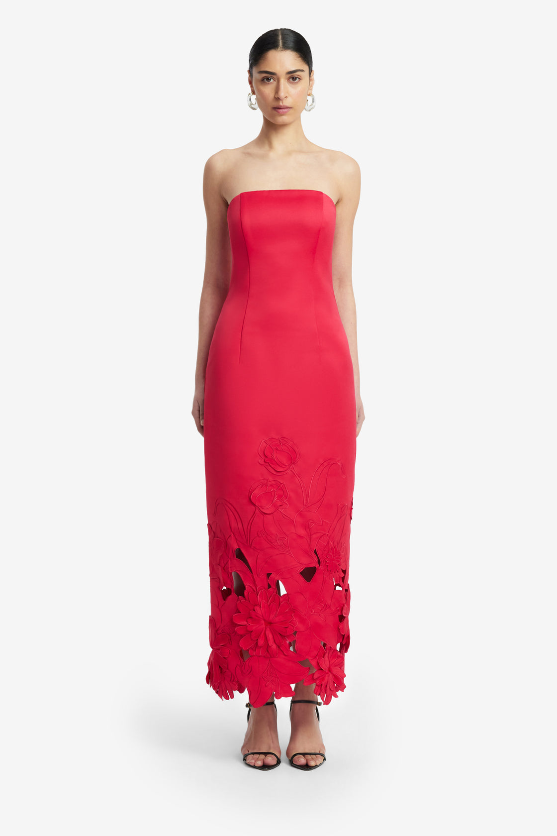 Rayna Appliqu Bustier Maxi Dress - Rosa LEO LIN Rayna Appliqu Bustier Maxi Dress - Rosa LEO LIN