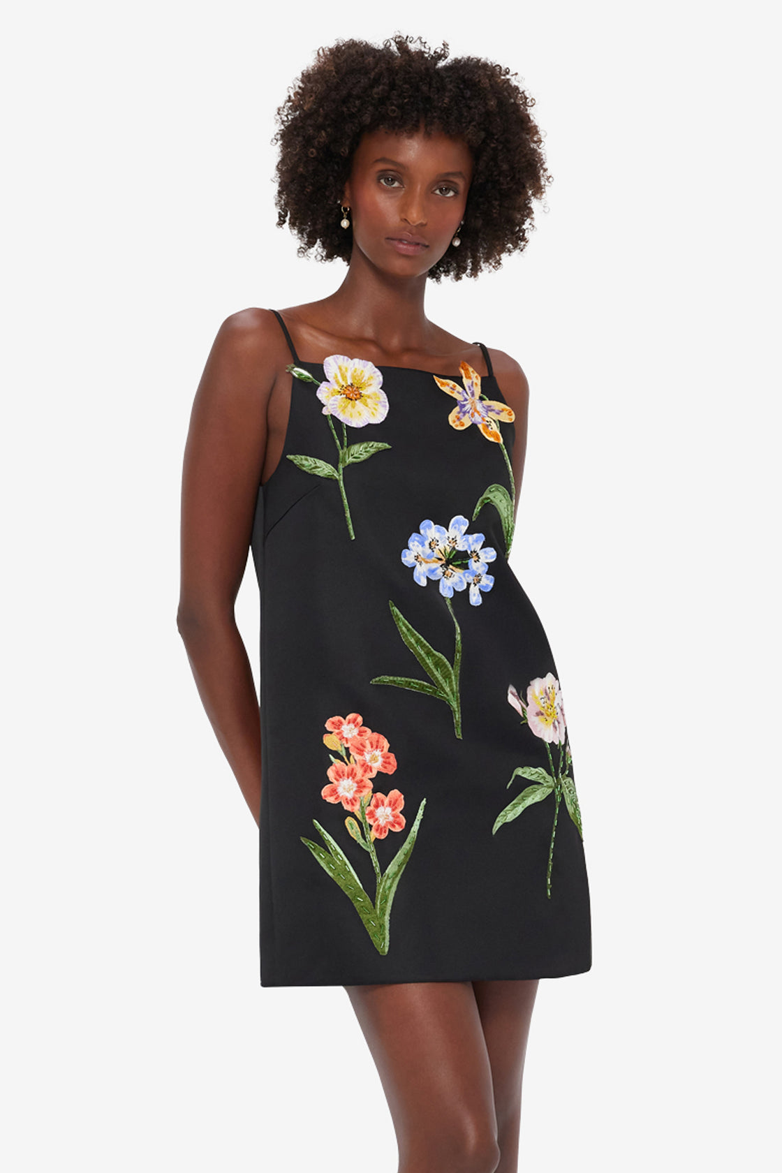 Exclusive LEO LIN Leia Embroidered Mini Dress - Botanical Print in Ebony