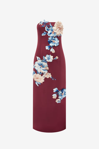 Rayna Embroidered Maxi Dress - Cosmos Print Dress Maxi