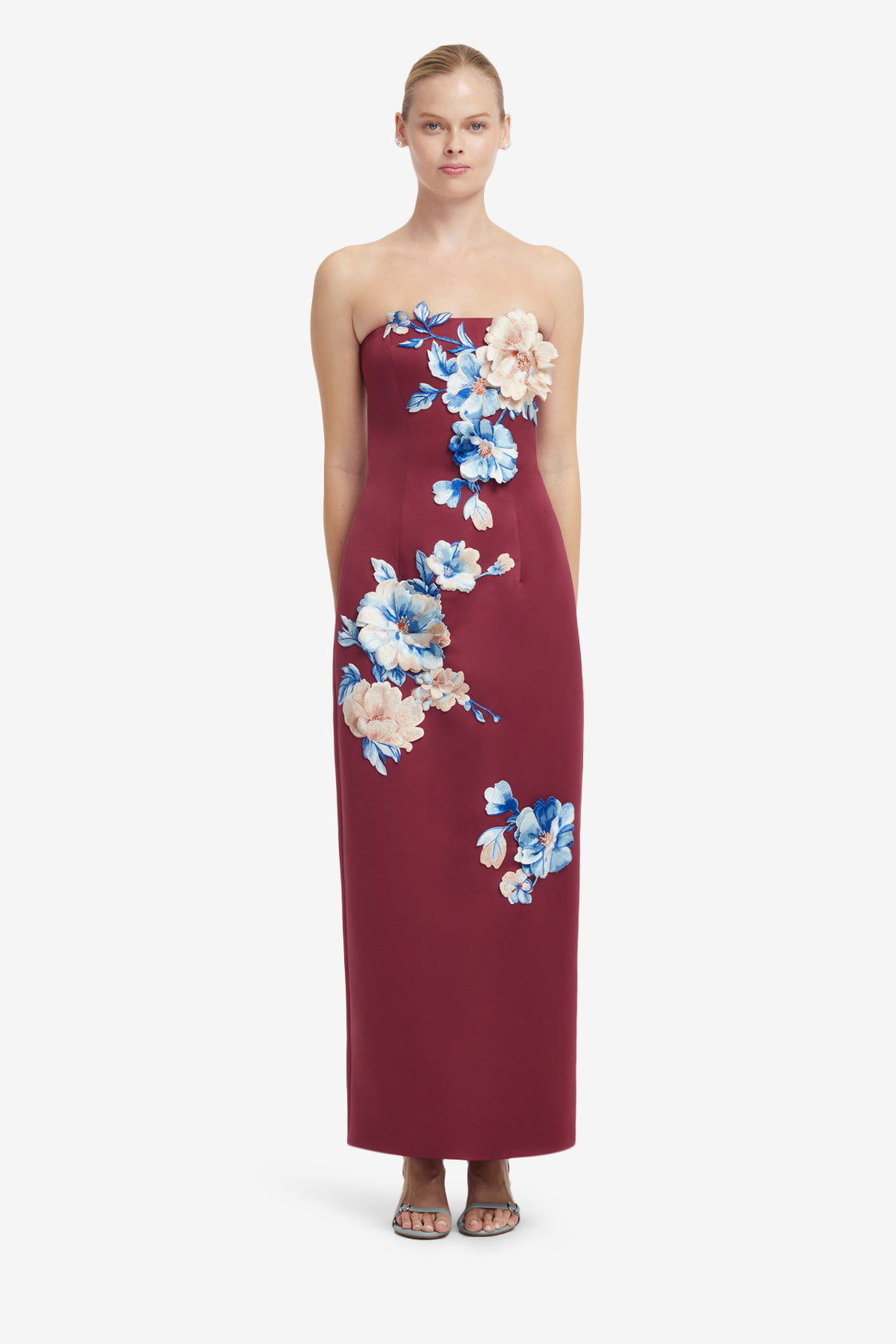 Rayna Embroidered Maxi Dress - Cosmos Print Dress Maxi