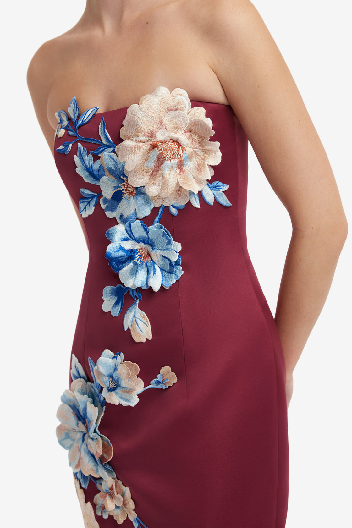 Rayna Embroidered Maxi Dress - Cosmos Print Dress Maxi