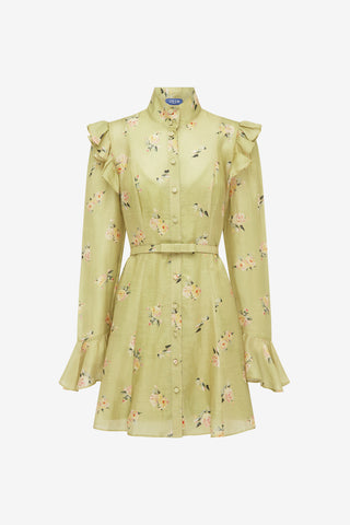 Kristy Butterfly Sleeve Mini Dress - Pistachio Rose Print Dress Mini