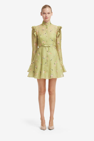 Kristy Butterfly Sleeve Mini Dress - Pistachio Rose Print Dress Mini
