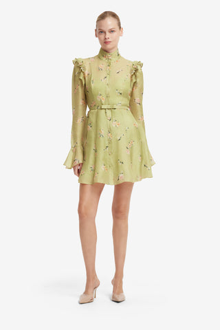 Kristy Butterfly Sleeve Mini Dress - Pistachio Rose Print Dress Mini