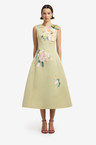 Cleo Embroidered Sleeveless Midi Dress - Pistachio Rose Print Dress Midi