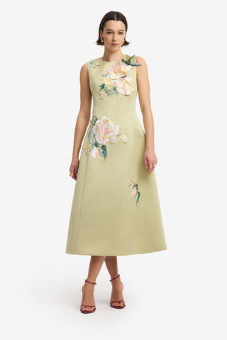 Cleo Embroidered Sleeveless Midi Dress - Pistachio Rose Print Dress Midi