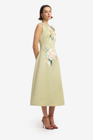 Cleo Embroidered Sleeveless Midi Dress - Pistachio Rose Print Dress Midi