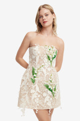 Roselle Embellished Lace Bustier Mini Dress - Snow Meadow Dress Mini