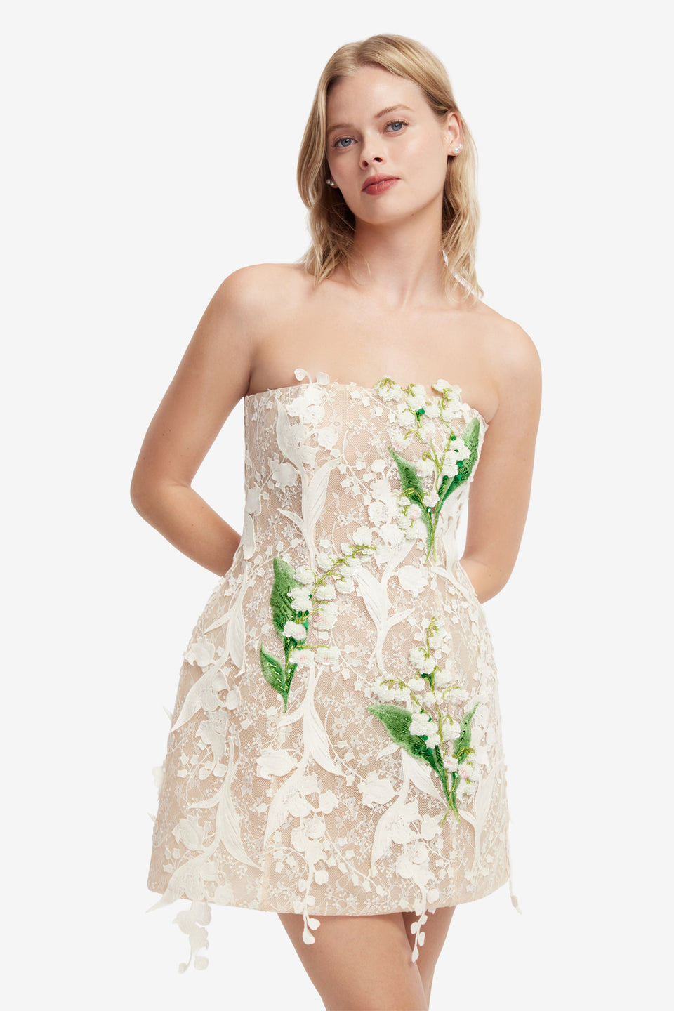 Roselle Embellished Lace Bustier Mini Dress - Snow Meadow Dress Mini