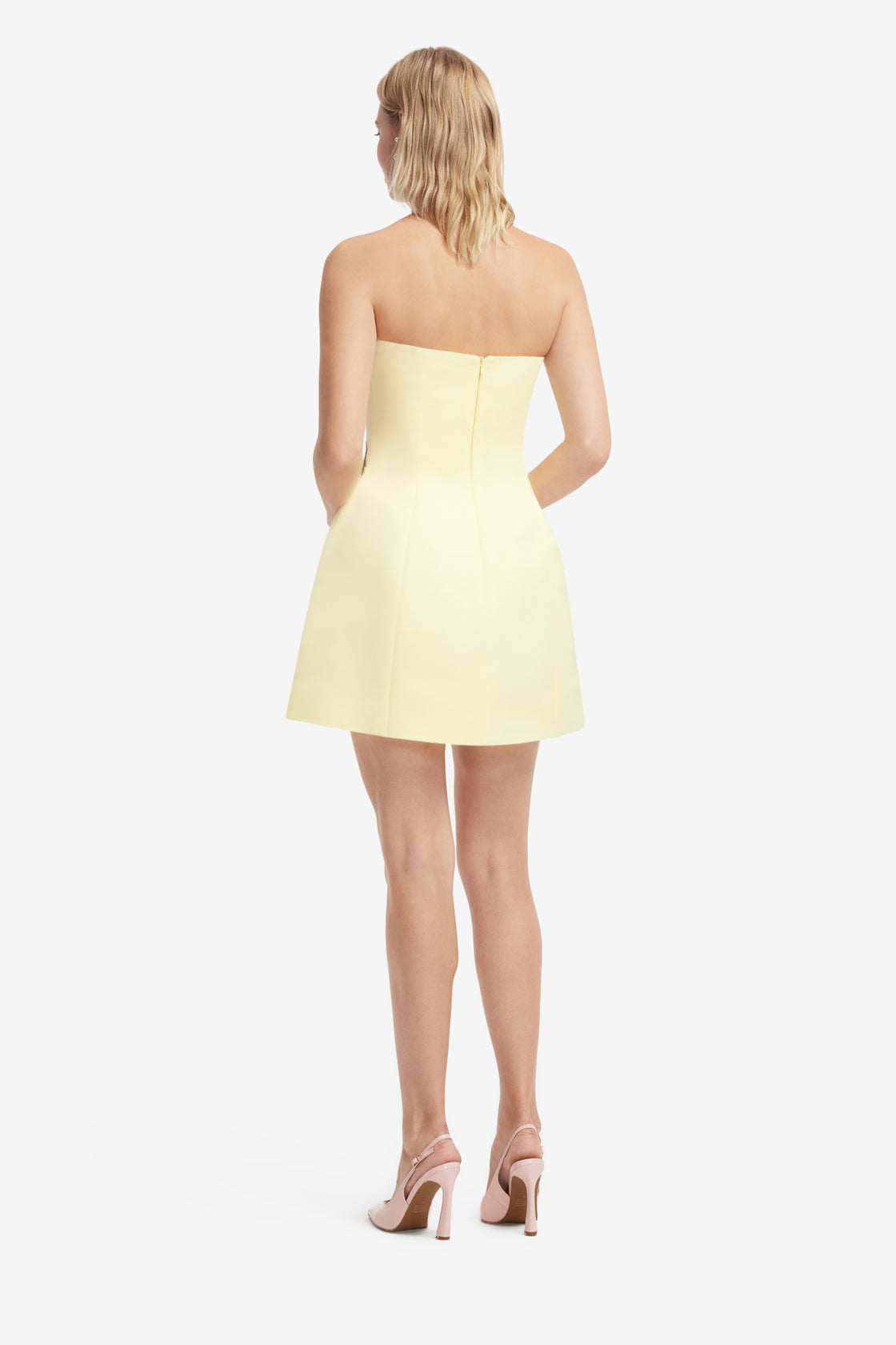 Roselle Applique Bustier Mini Dress - Agapanthus Print Dress Mini