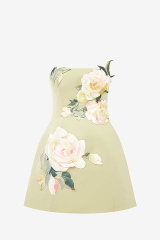 Roselle Embroidered Bustier Mini Dress - Pistachio Rose Print Dress Mini