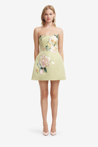 Roselle Embroidered Bustier Mini Dress - Pistachio Rose Print Dress Mini