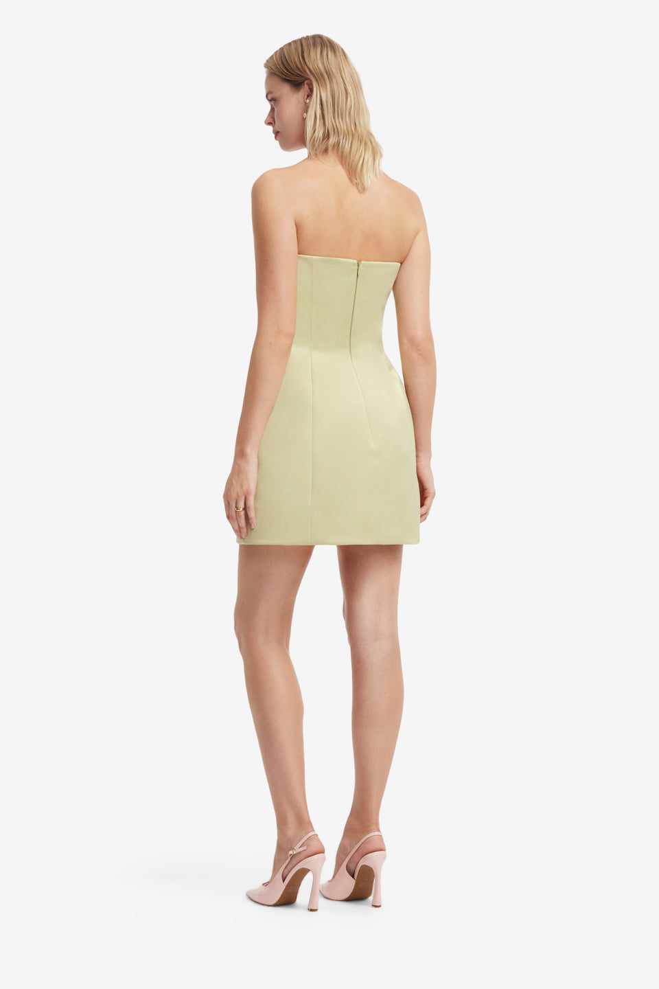 Roselle Embroidered Bustier Mini Dress - Pistachio Rose Print Dress Mini