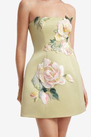 Roselle Embroidered Bustier Mini Dress - Pistachio Rose Print Dress Mini