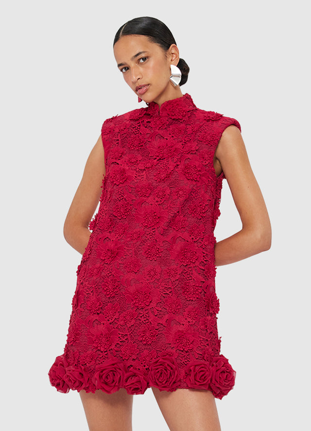 Exclusive Leo Lin Lingyu Lace Mini Dress in Garnet