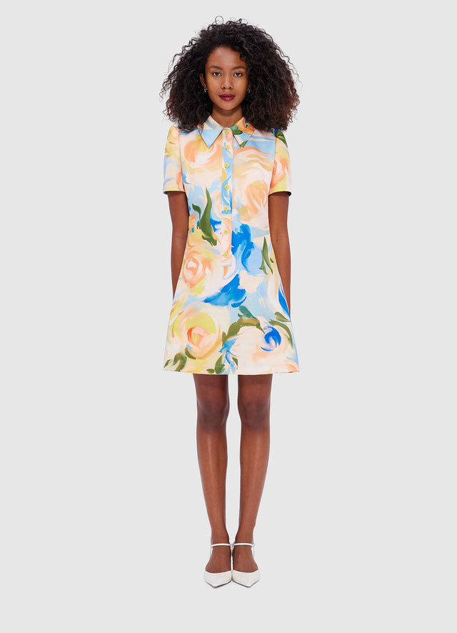 Exclusive Leo Lin Brooke Mini Dress - Bouquet Print