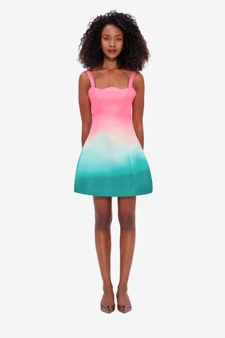 Exclusive LEO LIN Abigail Mini Dress - Whimsical