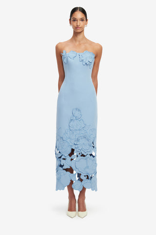 Rayna Appliqué Bustier Maxi Dress - Baby Blue