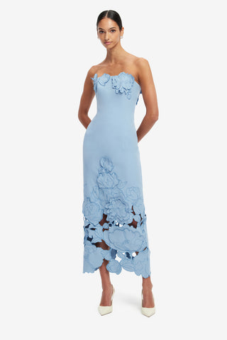Rayna Appliqué Bustier Maxi Dress - Baby Blue