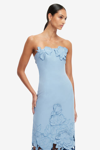 Rayna Appliqué Bustier Maxi Dress - Baby Blue