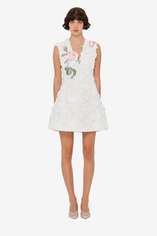 Briana V Neck Embroidered Lace Mini Dress - Snow