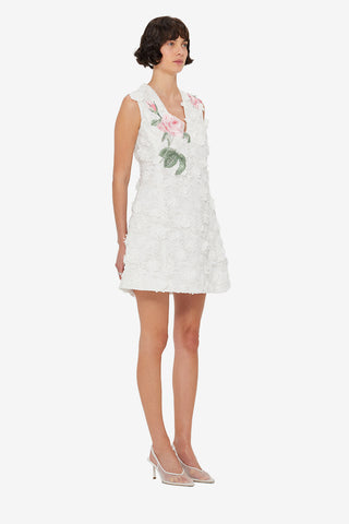 Briana V Neck Embroidered Lace Mini Dress - Snow