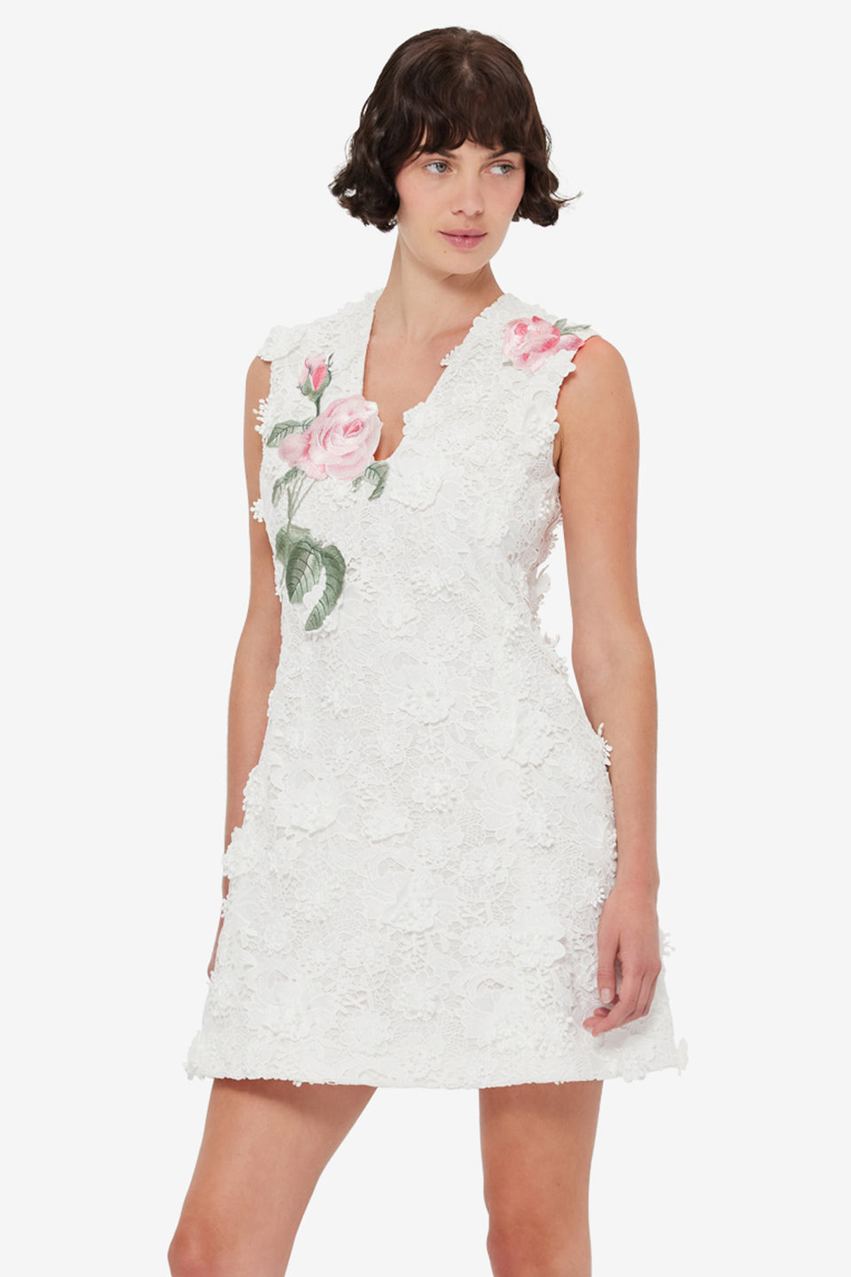 Briana V Neck Embroidered Lace Mini Dress - Snow