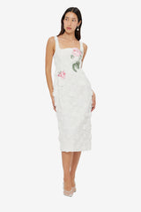 Larissa Embroidered Lace Midi Dress - Snow Dress Midi